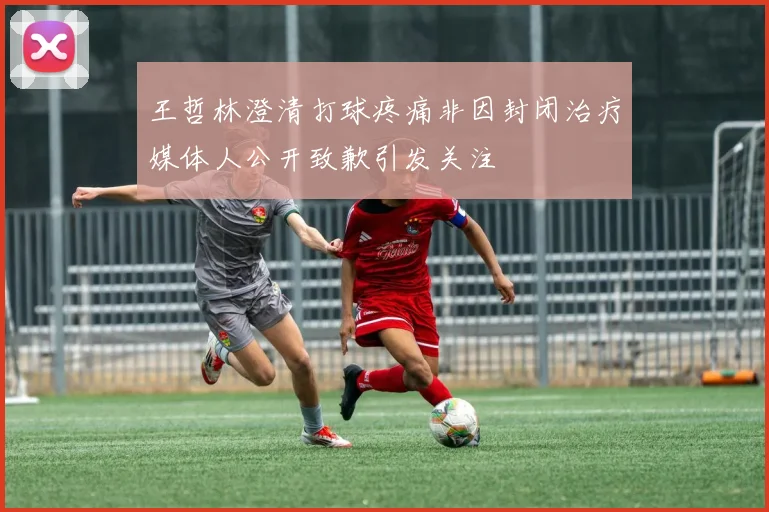 王哲林澄清打球疼痛非因封闭治疗媒体人公开致歉引发关注