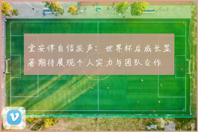 堂安律自信发声：世界杯后成长显著期待展现个人实力与团队合作